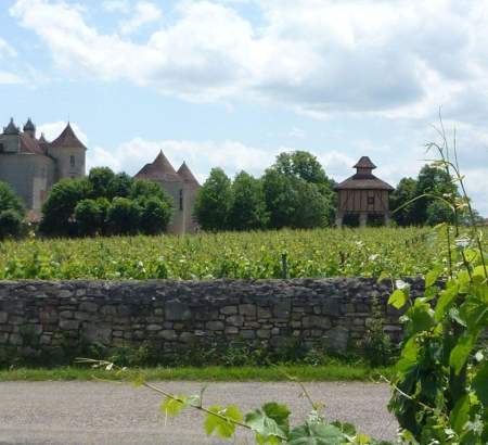 Vignoble du Château Lagrezette © Lot Tourisme - Anna Crepin